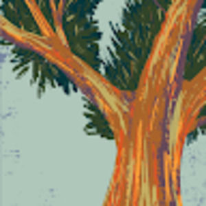 Meet your Posher, Destiny